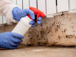 Best Commercial Mold Inspection  in Ingleside, TX